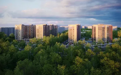 Аквилон VERBA Верба