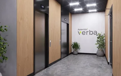 Аквилон VERBA Верба