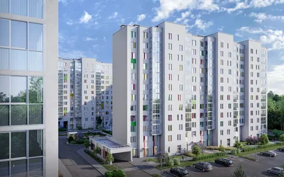 Монография