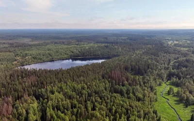 Мичурино Парк