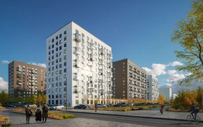 Янинский лес