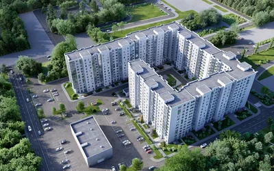 Монография