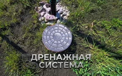 Viva Futura (Вива Футура)