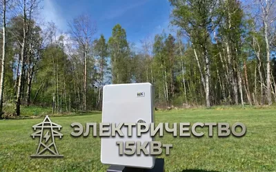 Viva Futura (Вива Футура)