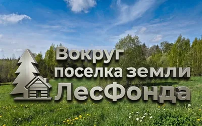Viva Futura (Вива Футура)