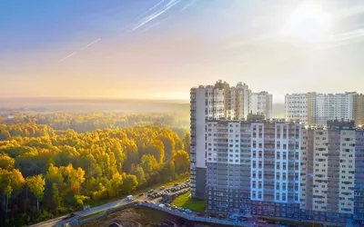 Цветной город