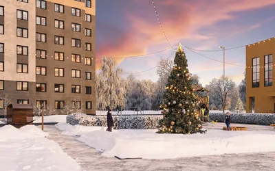 Цветной город