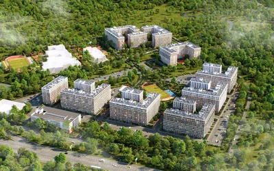 Новый Московский